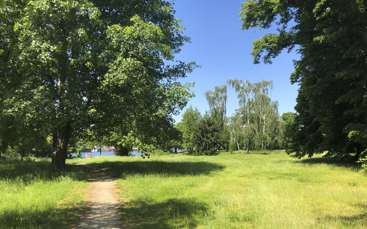 Park Penthouses Insel Eiswerder By Suite030 Berlin Zewnętrze zdjęcie
